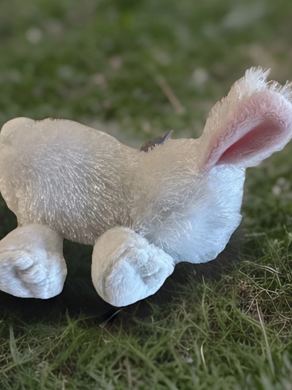 Webkinz White Rabbit NEW with code HM078 - Picture 5 of 8